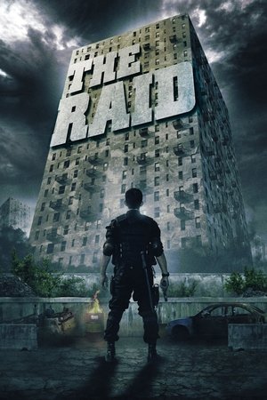 The Raid Vj Junior