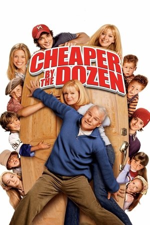 Cheaper by the Dozen BY Vj Junior