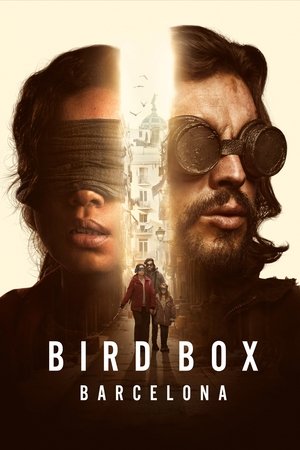 Bird Box Barcelona Vj Junior