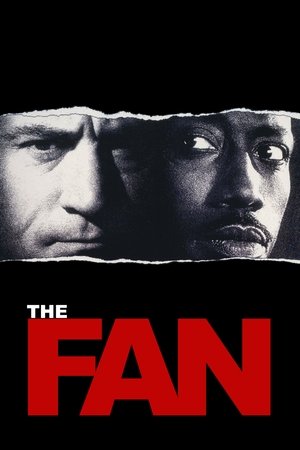 The Fan Vj Junior