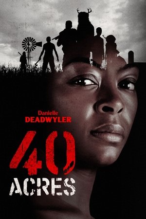 40 Acres Vj Junior
