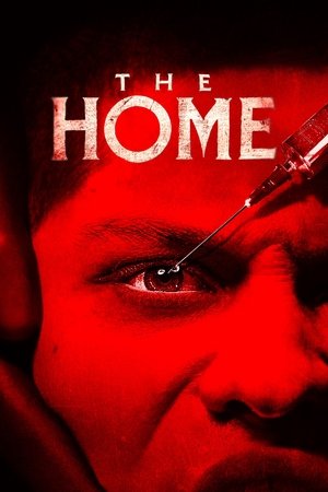 The Home Vj Junior