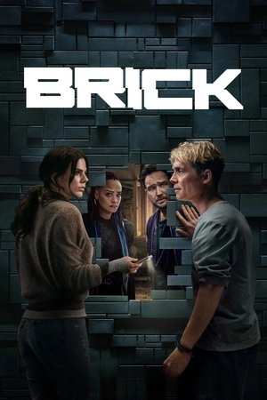 Brick Vj Junior